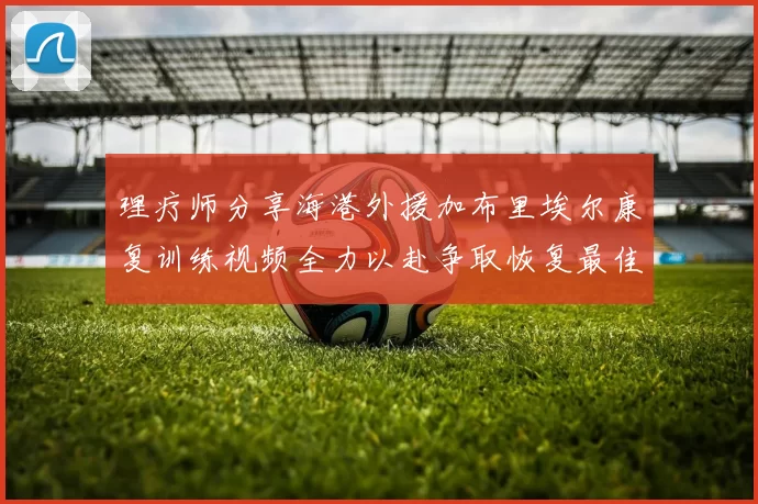 理疗师分享海港外援加布里埃尔康复训练视频全力以赴争取恢复最佳状态